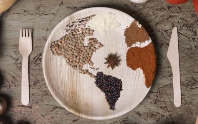 Diferencias entre la MTC y la Medicina Occidental